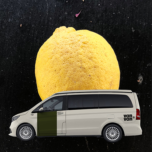 Best Fruit